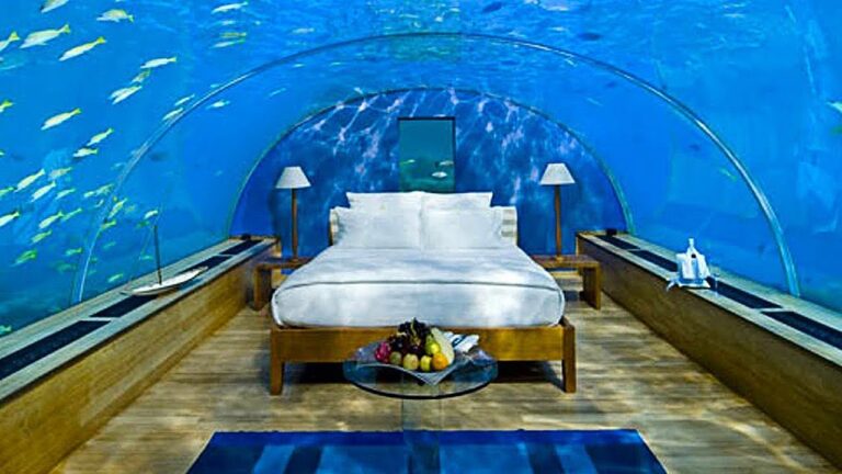 Descubre la Experiencia &Uacute;nica de un Spa M&oacute;vil Privado
