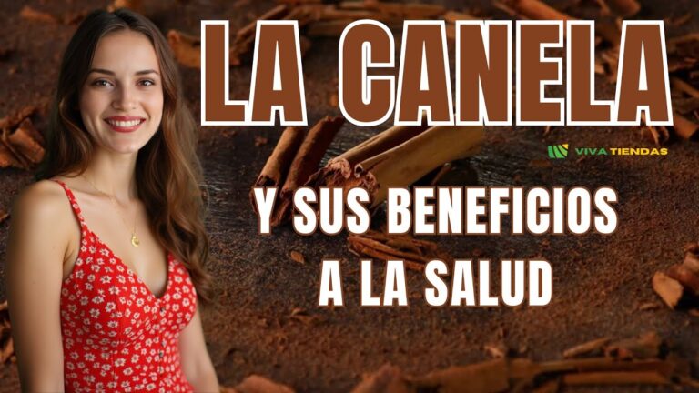 Saunas: Impulso para un Metabolismo Activo
