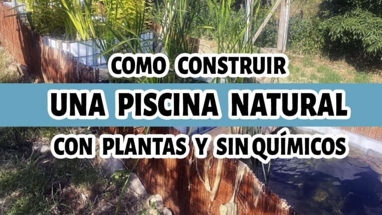 Sostenibilidad en la Fabricaci&oacute;n de Jacuzzis de Madera
