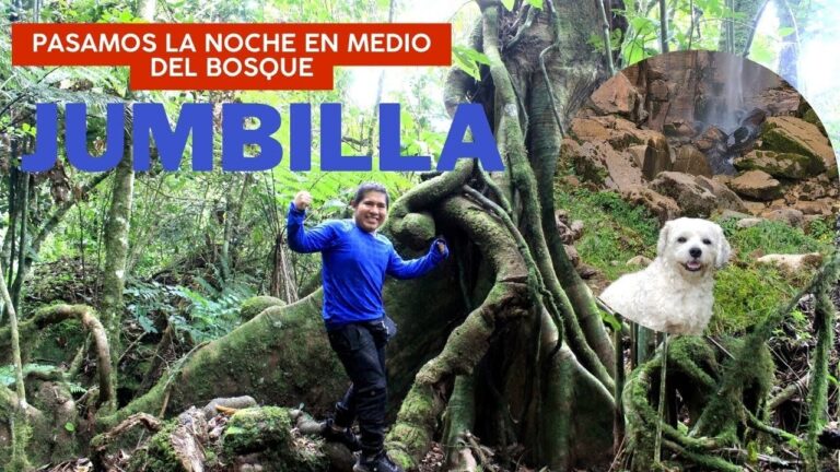 Circuitos Termales: Equilibrio Perfecto para Cuerpo y Mente