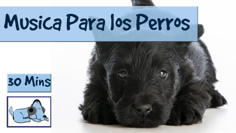 Crea tu Oasis de Relajaci&oacute;n con Ba&ntilde;o de Sales en Casa