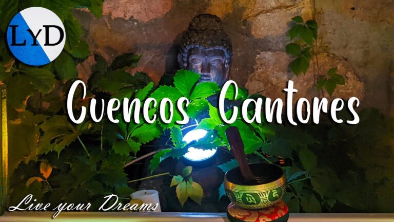 Sesiones de Meditación en un Oasis de Tranquilidad